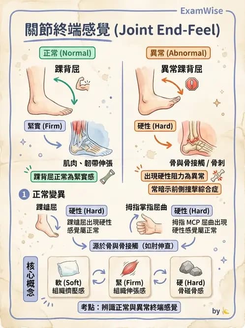 物治 - ROM通則與關節運動 - AI 圖文解析預覽