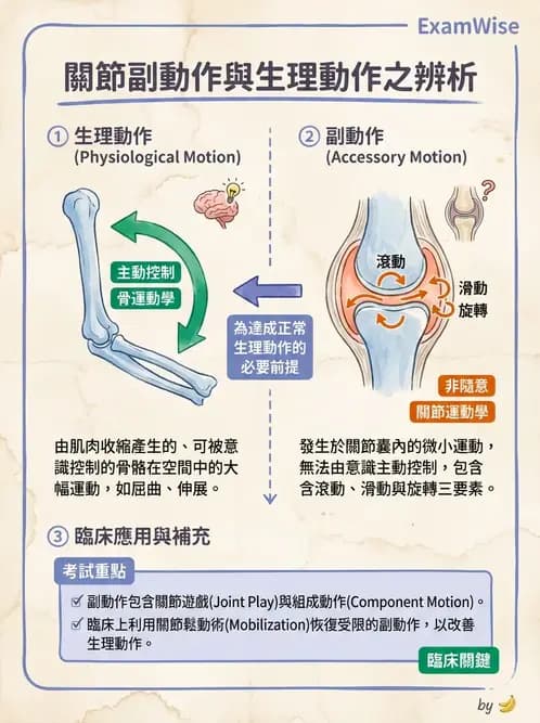 物治 - 鬆動術基礎概念與原則 - AI 圖文解析預覽