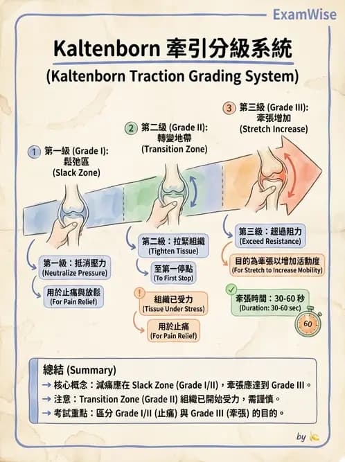 物治 - 鬆動術分級理論 - AI 圖文解析預覽