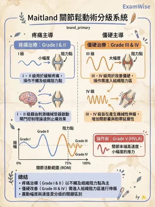 物治 - 鬆動術分級理論 - AI 圖文解析預覽