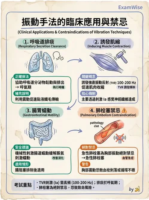 物治 - 瑞典式按摩與運動按摩 - AI 圖文解析預覽
