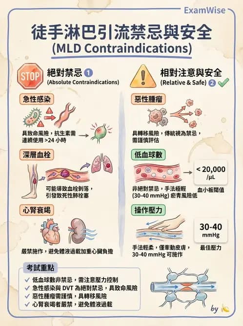 物治 - 淋巴水腫與徒手淋巴引流 - AI 圖文解析預覽