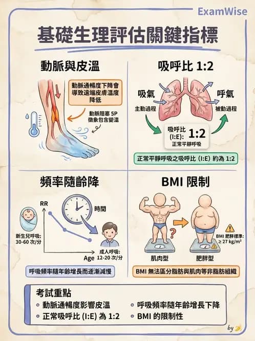 物治 - 功能評估與再教育 - AI 圖文解析預覽