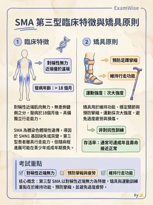 物治 - 裝具與矯具 - AI 圖文解析預覽