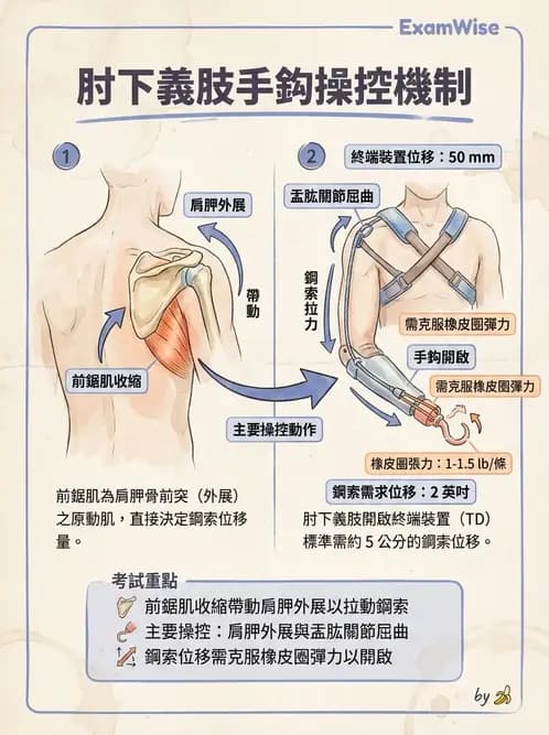 物治 - 義肢 - AI 圖文解析預覽