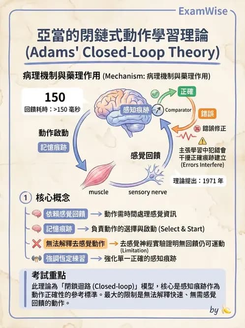 物治 - 動作學習 - AI 圖文解析預覽