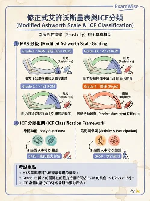 物治 - ICF分類與應用 - AI 圖文解析預覽
