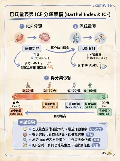 物治 - ICF分類與應用 - AI 圖文解析預覽