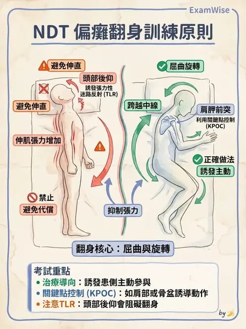 物治 - 腦中風治療手法應用 - AI 圖文解析預覽