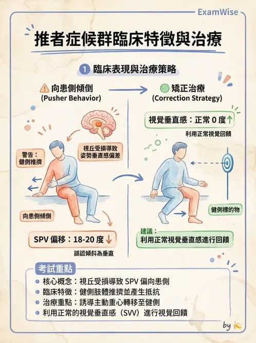 物治 - 腦中風姿勢控制平衡與轉位 - AI 圖文解析預覽
