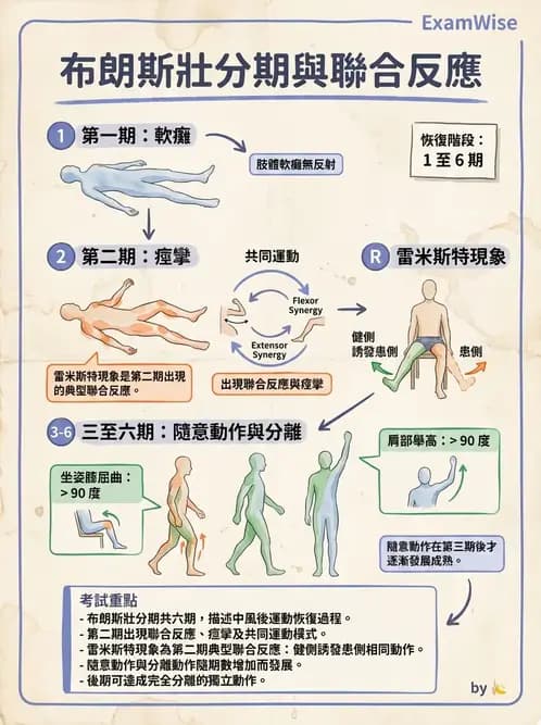 物治 - 腦中風動作評估與分期 - AI 圖文解析預覽