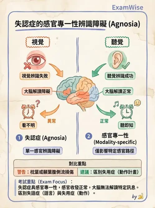 物治 - 腦中風感覺知覺與認知 - AI 圖文解析預覽