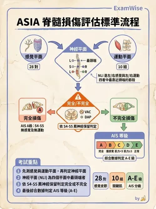 物治 - SCI評估分類與症候群 - AI 圖文解析預覽