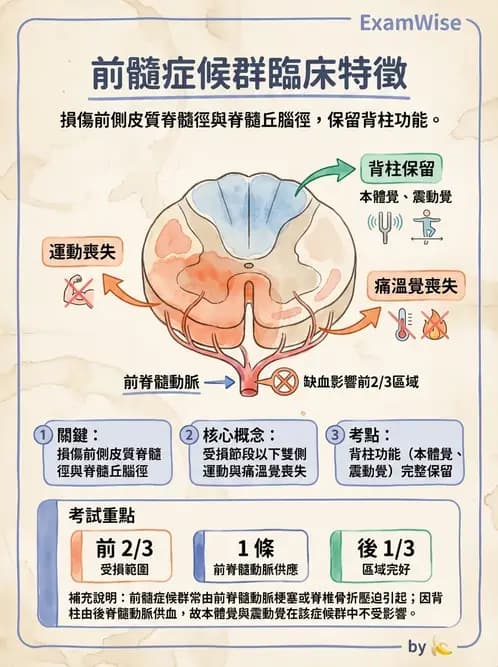 物治 - SCI評估分類與症候群 - AI 圖文解析預覽