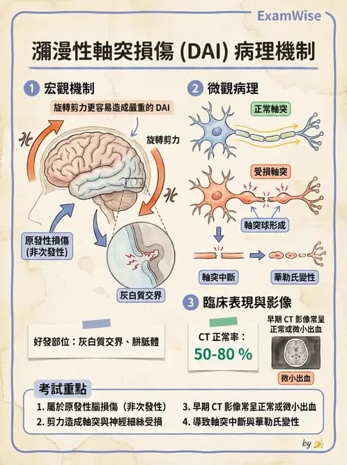 物治 - TBI病理評估與GCS - AI 圖文解析預覽