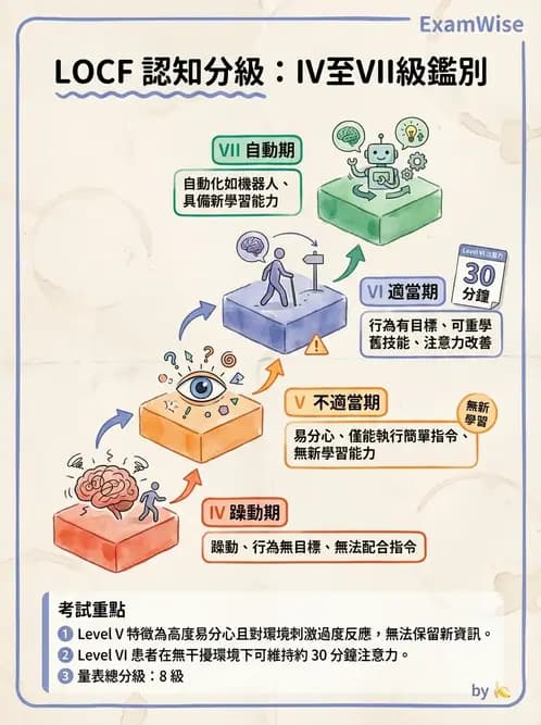 物治 - TBI LOCF分級與復健 - AI 圖文解析預覽