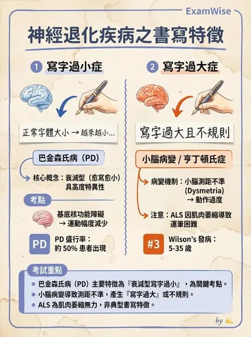 物治 - 巴金森氏病物理治療 - AI 圖文解析預覽