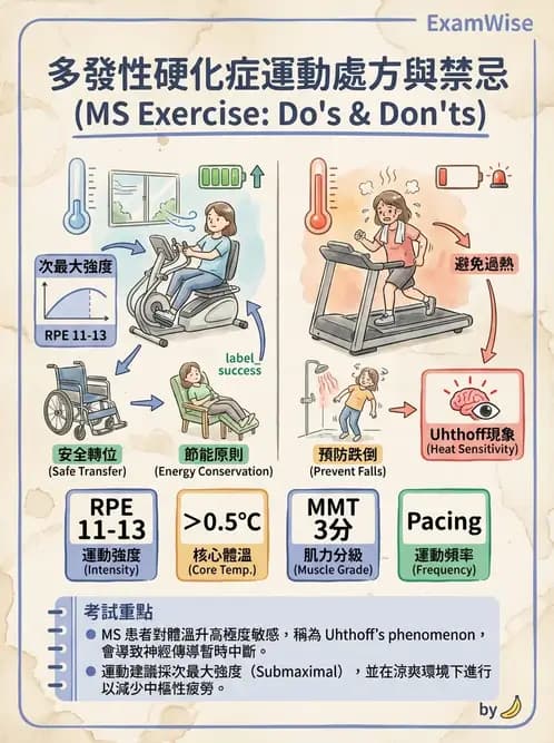 物治 - 多發性硬化症物理治療 - AI 圖文解析預覽