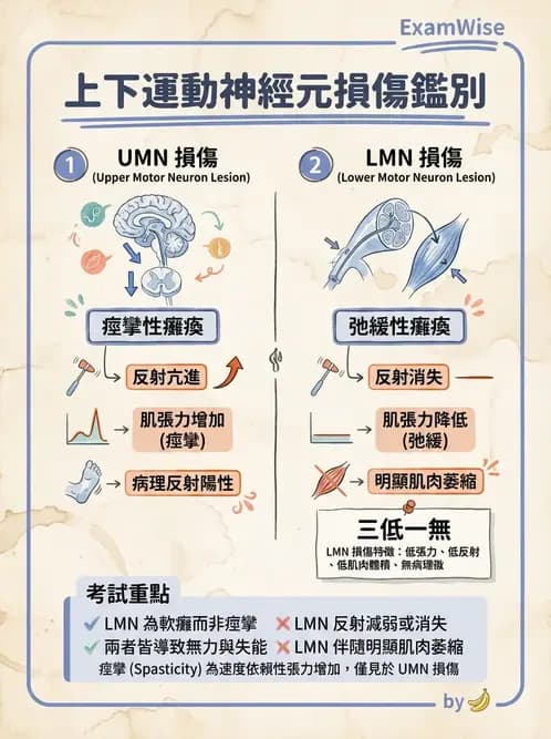 物治 - 神經物理治療評估工具 - AI 圖文解析預覽