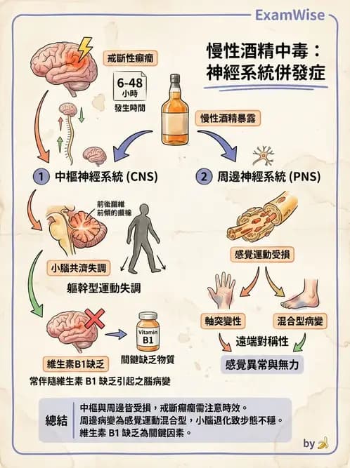 物治 - 運動神經元疾病與其他中樞疾病 - AI 圖文解析預覽