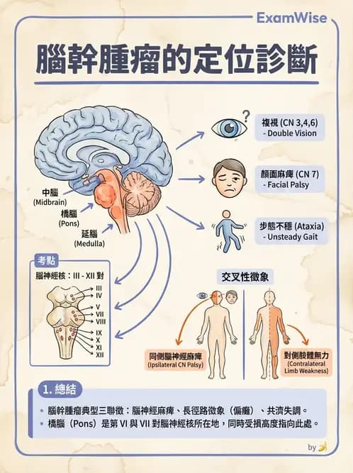 物治 - 運動神經元疾病與其他中樞疾病 - AI 圖文解析預覽