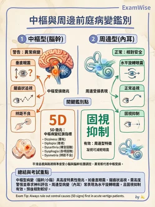 物治 - 前庭系統與前庭復健 - AI 圖文解析預覽
