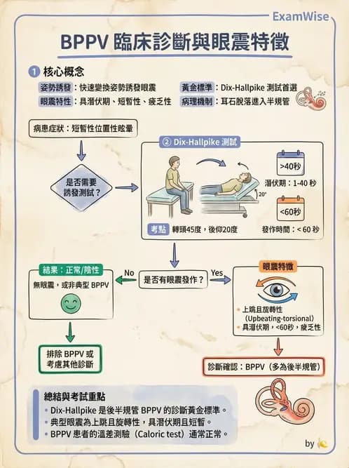 物治 - 前庭系統與前庭復健 - AI 圖文解析預覽
