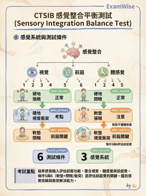 物治 - 跌倒預防與平衡訓練 - AI 圖文解析預覽