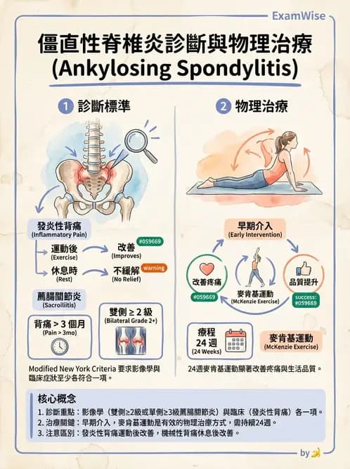 物治 - 腰椎穩定訓練與治療原則 - AI 圖文解析預覽