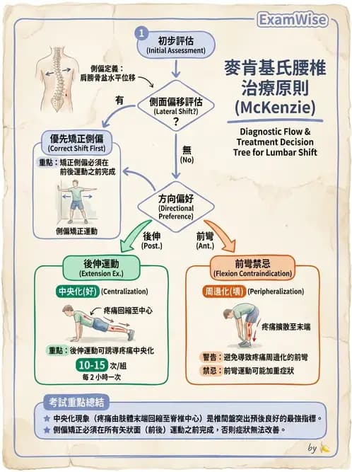 物治 - 腰椎椎間盤與脊椎狹窄 - AI 圖文解析預覽