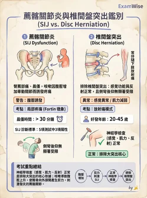 物治 - 薦髂關節評估與治療 - AI 圖文解析預覽