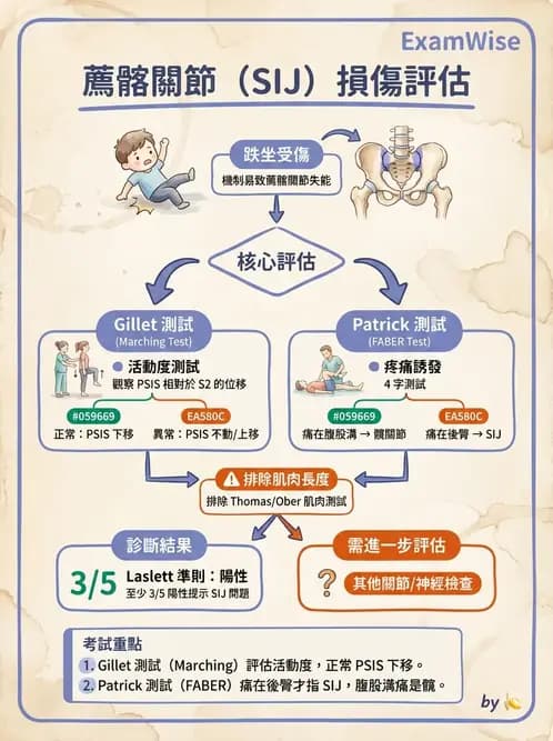 物治 - 薦髂關節評估與治療 - AI 圖文解析預覽