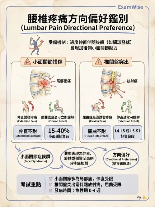 物治 - 腰椎椎間盤與脊椎狹窄 - AI 圖文解析預覽