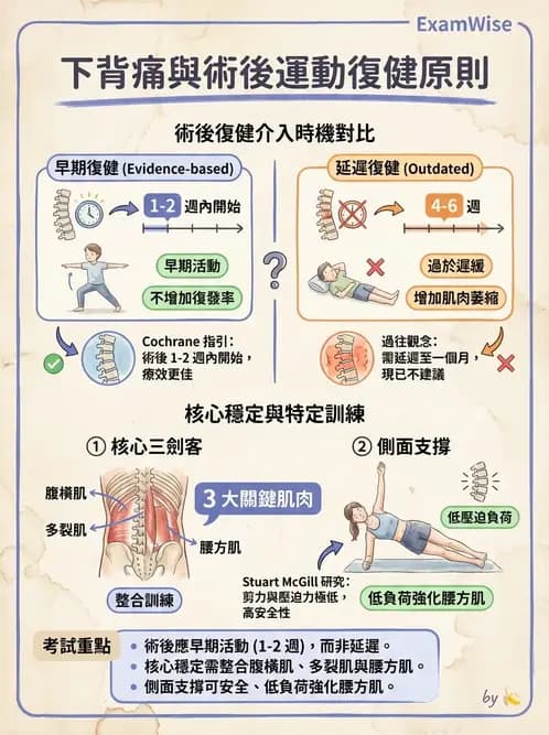 物治 - 腰椎穩定訓練與治療原則 - AI 圖文解析預覽