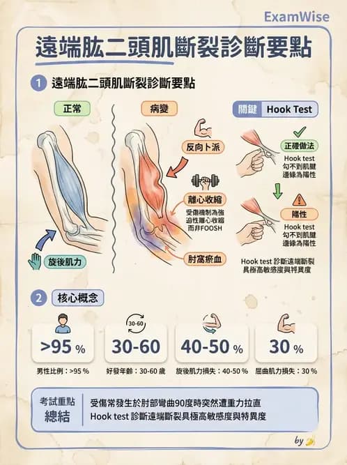 物治 - 肘及前臂關節 - AI 圖文解析預覽