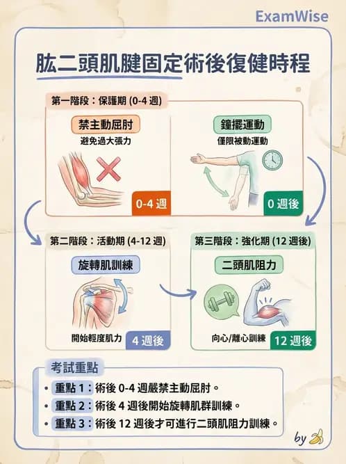 物治 - 肩關節不穩定與盂唇損傷 - AI 圖文解析預覽