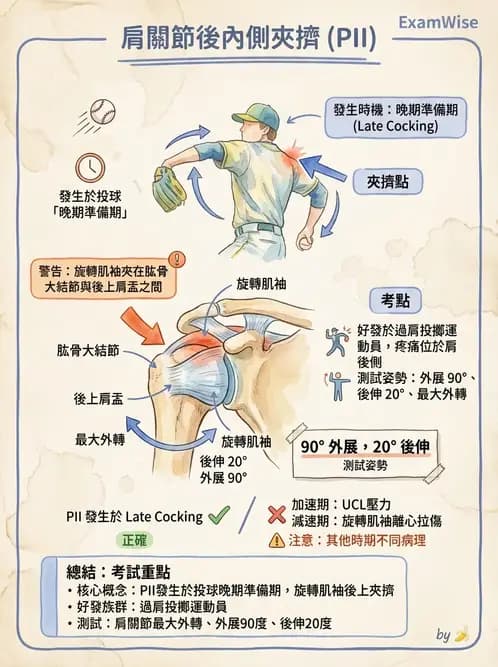 物治 - 肩關節夾擠與旋轉肌袖 - AI 圖文解析預覽