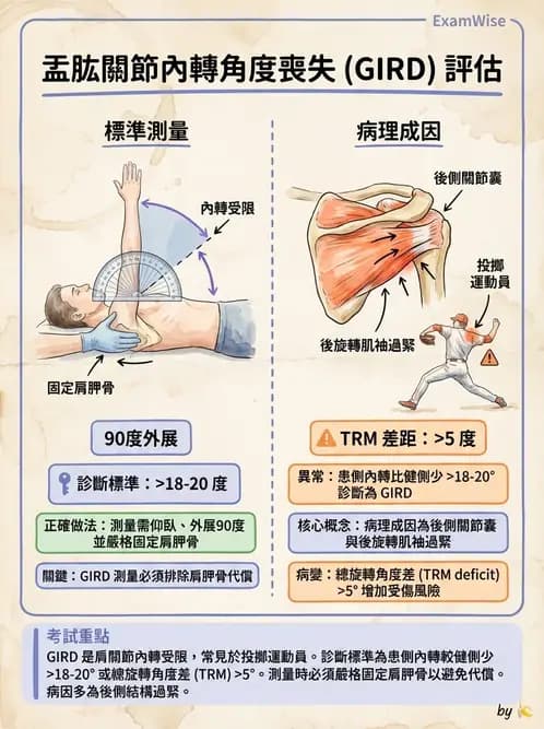 物治 - 冰凍肩與胸廓出口症候群 - AI 圖文解析預覽