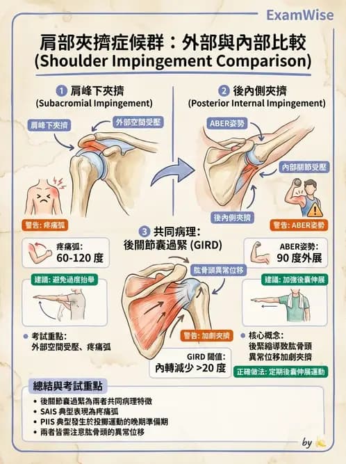 物治 - 肩關節夾擠與旋轉肌袖 - AI 圖文解析預覽