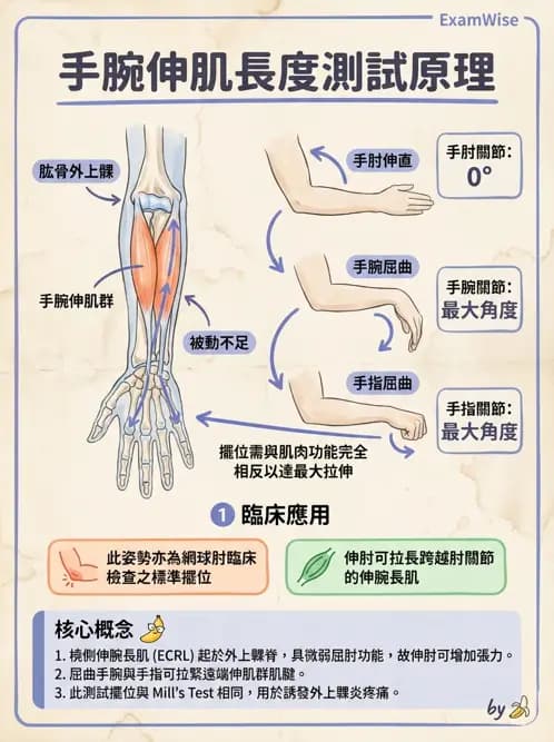 物治 - 腕關節疾病 - AI 圖文解析預覽