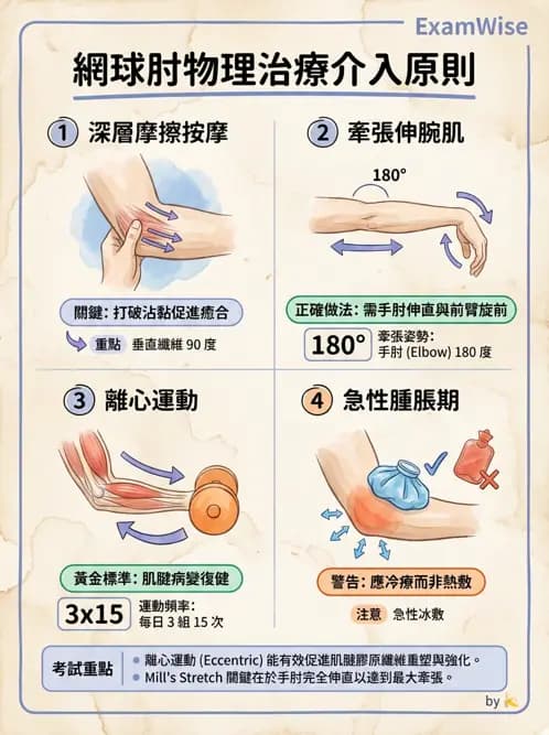 物治 - 肘及前臂關節 - AI 圖文解析預覽