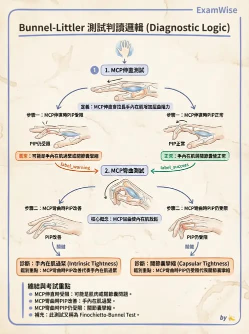 物治 - 手部肌腱損傷與變形 - AI 圖文解析預覽