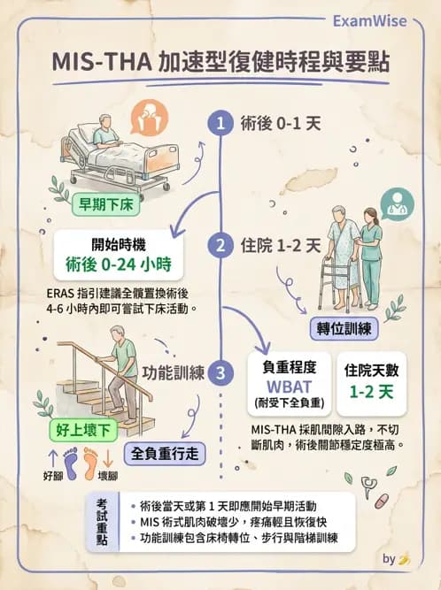 物治 - 髖關節病變與手術復健 - AI 圖文解析預覽