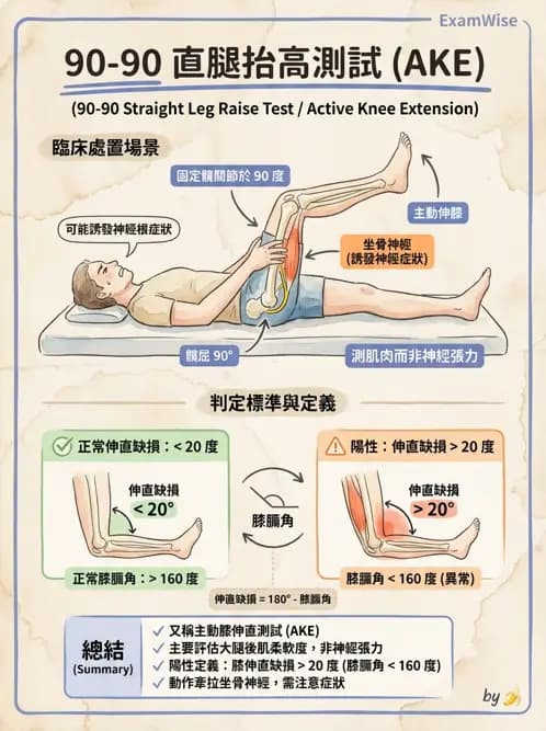 物治 - 髖關節解剖與評估 - AI 圖文解析預覽