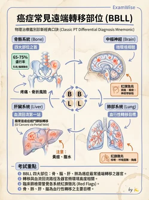 物治 - 初級照護與鑑別診斷 - AI 圖文解析預覽