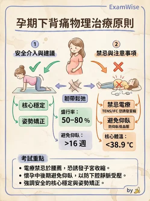 物治 - 女性健康 - AI 圖文解析預覽