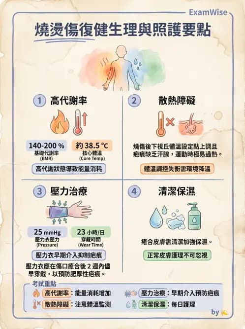 物治 - 皮膚與淋巴系統物理治療 - AI 圖文解析預覽