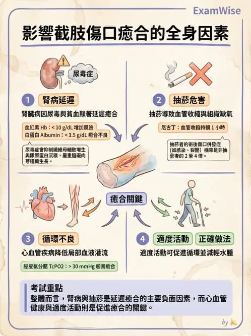 物治 - 截肢 - AI 圖文解析預覽