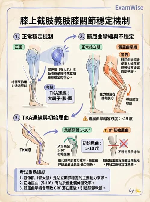 物治 - 截肢 - AI 圖文解析預覽