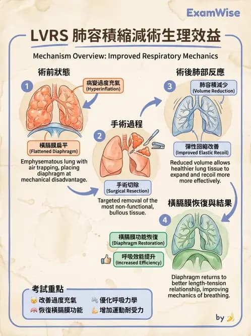 物治 - 胸腔手術、肺移植與呼吸器 - AI 圖文解析預覽